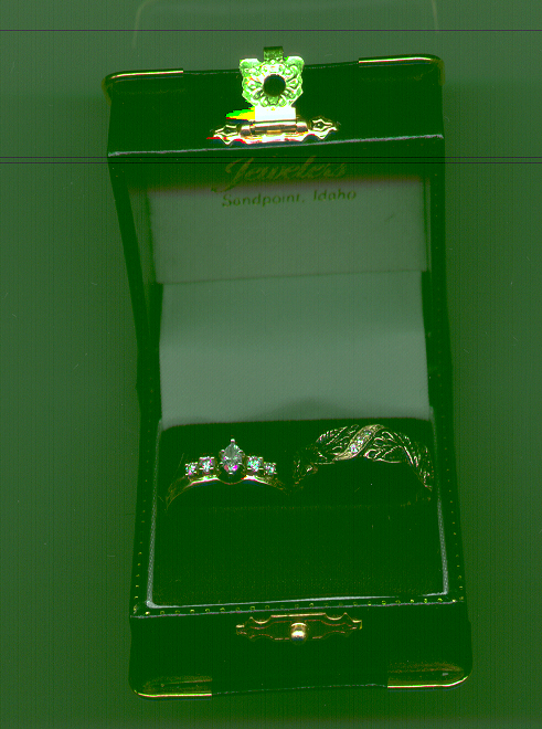 Our Wedding Rings